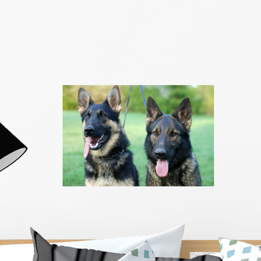 German Shepherd Dog