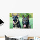 German Shepherd Dog