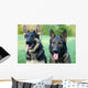 German Shepherd Dog