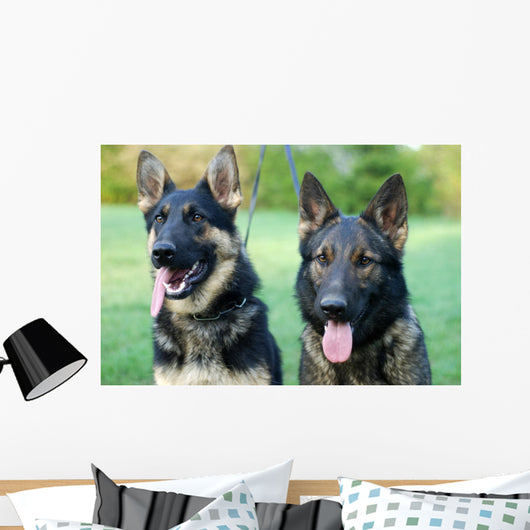 German Shepherd Dog