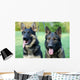 German Shepherd Dog