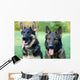 German Shepherd Dog