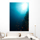 Tropical Reef and Marine Wall Mural