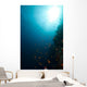 Tropical Reef and Marine Wall Mural
