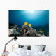 Masked Butterfly Fish and Wall Mural