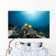 Masked Butterfly Fish and Wall Mural