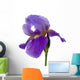 Iris Wall Mural