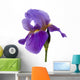 Iris Wall Mural