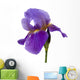 Iris Wall Mural