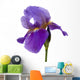Iris Wall Mural