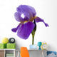 Iris Wall Mural