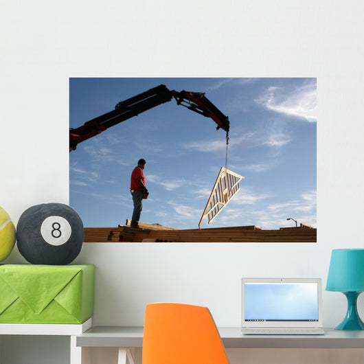 Crane Wall Mural