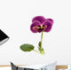 Violet Wall Decal