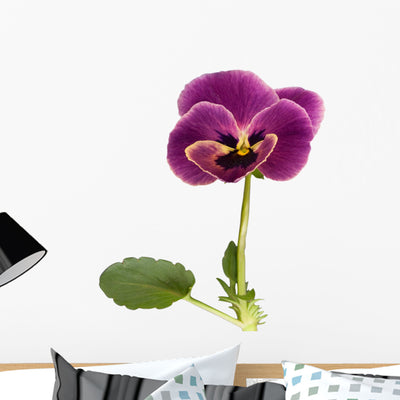Violet Wall Decal shown on a wall