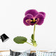 Violet Wall Decal