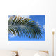 Palm Blue Sky Wall Mural