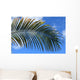 Palm Blue Sky Wall Mural