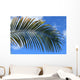Palm Blue Sky Wall Mural