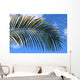 Palm Blue Sky Wall Mural
