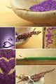 Collage Wellness