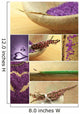 Collage Wellness