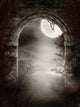 The Gothic Ruins Of The Thorns And Fog Wall Mural