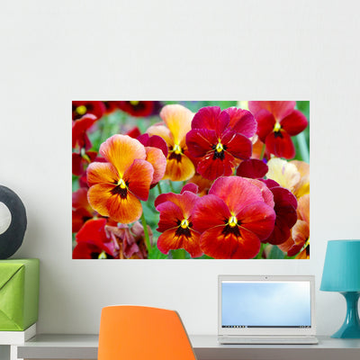 Pansy Flowers Wall Mural shown on a wall
