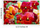 Pansy Flowers Wall Mural