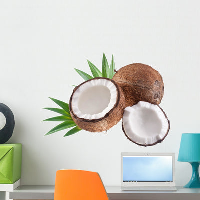 High-quality Photos Coconuts White Wall Mural shown on a wall