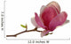 Single Bud Magnolia Wall Decal