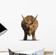 Facing Triceratops Dinosaur Wall Decal