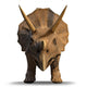 3d Triceratops Dinosaur Face on Wall Decal