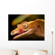 Gecko Lip Lcking Wall Mural