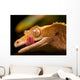 Gecko Lip Lcking Wall Mural