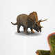 3D Triceratops Dinosaur Wall Decal