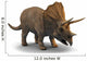 3D Triceratops Dinosaur Wall Decal