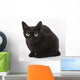 Cat Wall Mural