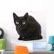 Cat Wall Mural