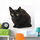 Cat Wall Mural