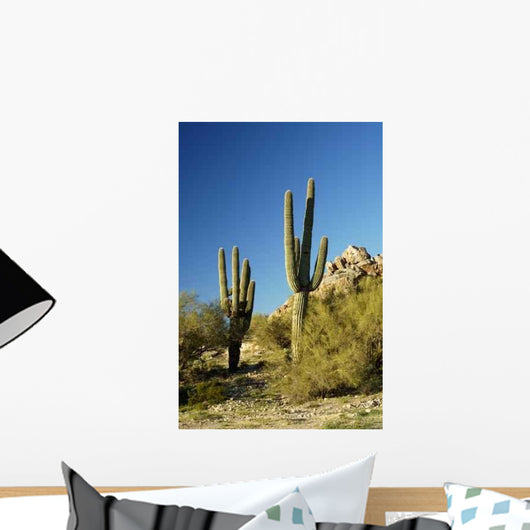 Saguaro Cactus 3 Wall Decal