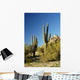Saguaro Cactus 3 Wall Decal