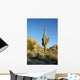 Saguaro Cactus 1 Wall Decal