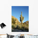 Saguaro Cactus 1 Wall Decal