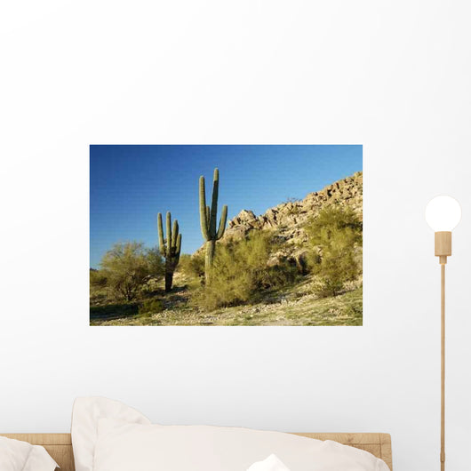 Saguaro Cactus 2 Wall Decal