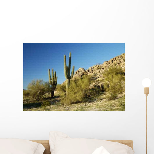 Saguaro Cactus 2 Wall Decal