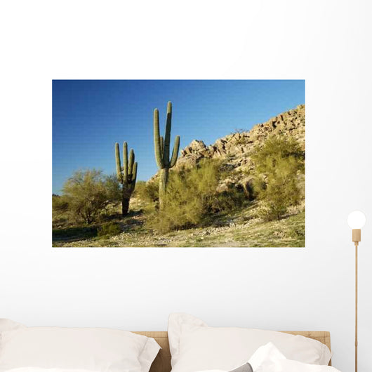 Saguaro Cactus 2 Wall Decal