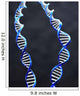 Double Helix Wall Mural