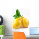 High-Quality Photo Ripe Lemons Wall Decal