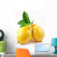 High-Quality Photo Ripe Lemons Wall Decal