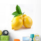 High-Quality Photo Ripe Lemons Wall Decal